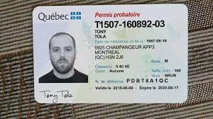 Buy Canadian driver license