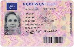 Buy Dutch driver license online