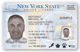 Buy New York driver license Online