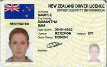 Buy New Zealand driver license Online